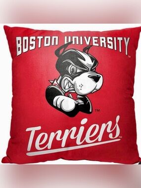 NCAA Boston University Terriers Alumni
Throw Pillow *NEW*